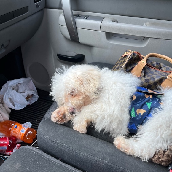 Meet your Posher, Ashley - Picture 4 of 4